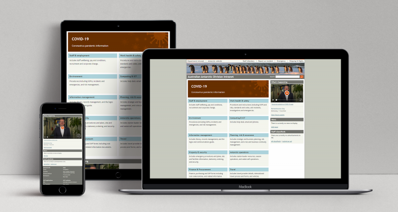 Australian Antarctic Program Intranet (2011 redesign, 2015 responsive version) displayed on three devices: a laptop, a tablet and a mobile phone.